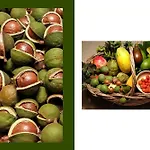Tropical Fruit Garden In Lido Di Hébergement de vacances