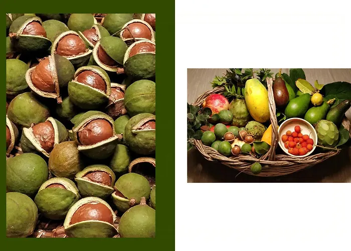 Tropical Fruit Garden In Lido Di בית נופש